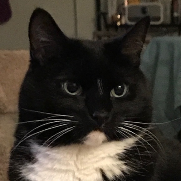 Meet your Posher, Alexandra - Picture 1 of 1